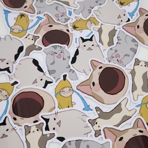 Cat Meme Stickers | 2" Die cut, Water Resistant Stickers for Journal, Laptop, Water bottle | Funny Gift, TikTok, Instagram