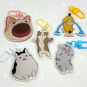 Cat Meme Acrylic Keychains | Accessory for Bag, Lanyard, Tote Decoration | Funny Gift