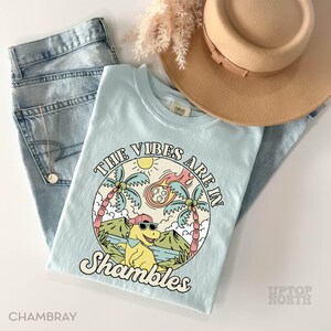 May include: A light blue t-shirt with the text "The Vibes Are In Shambles" and a cartoon dinosaur wearing sunglasses. The shirt is paired with light wash jeans and a tan hat. A gold necklace is visible.