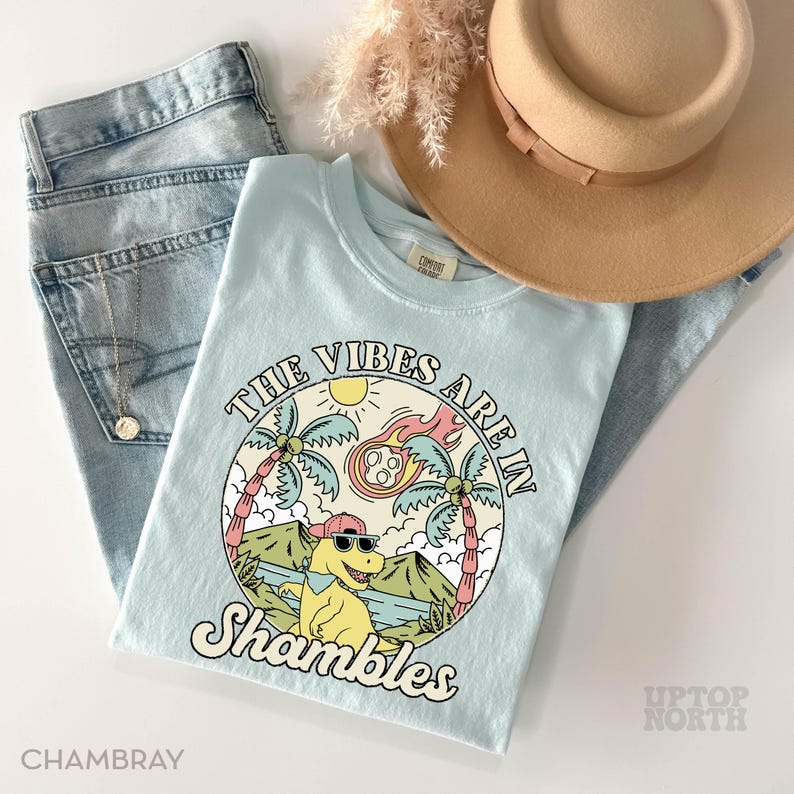 May include: A light blue t-shirt with the text "The Vibes Are In Shambles" and a cartoon dinosaur wearing sunglasses. The shirt is paired with light wash jeans and a tan hat. A gold necklace is visible.