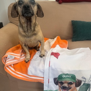 Op de afbeelding: Een tan hond zit op een oranje en wit gestreepte handdoek naast een witte wafelhanddoek met een gedrukte illustratie van een hond met een groene hoed met de tekst OLIVE, een golfvlag en een golftas met clubs.