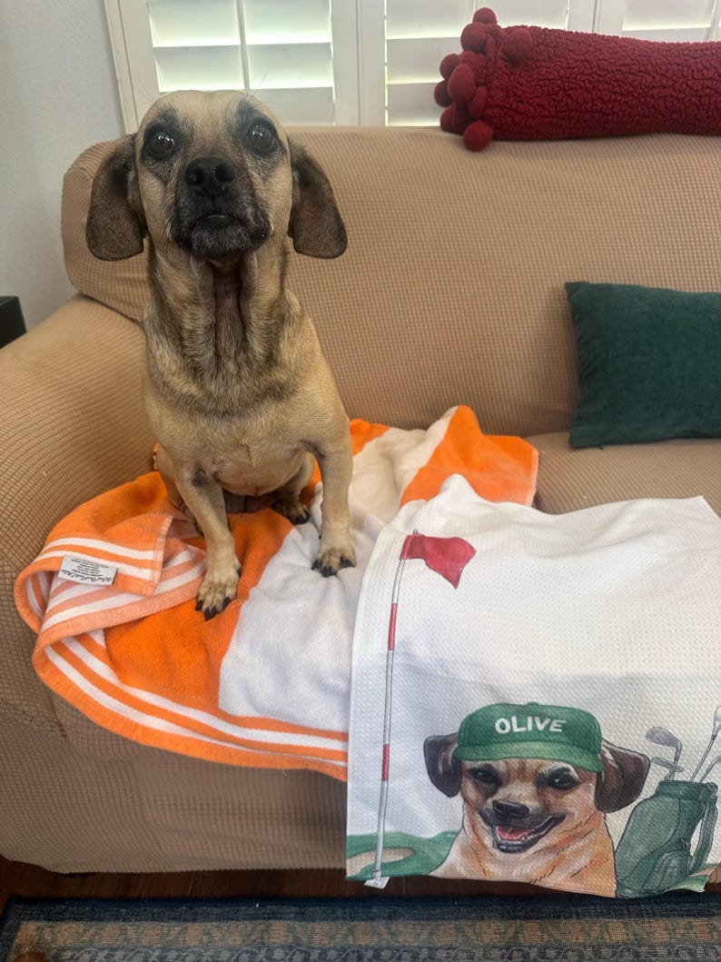 Op de afbeelding: Een tan hond zit op een oranje en wit gestreepte handdoek naast een witte wafelhanddoek met een gedrukte illustratie van een hond met een groene hoed met de tekst OLIVE, een golfvlag en een golftas met clubs.