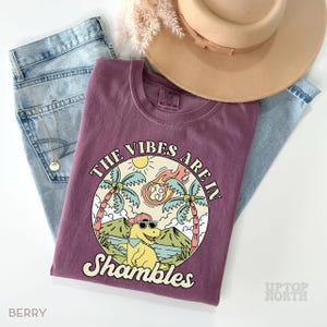 May include: Berry-colored t-shirt with a graphic of a dinosaur wearing sunglasses and a hat, with the text "The Vibes Are In Shambles." The shirt is laid on top of light blue jeans, with a tan hat and a necklace.