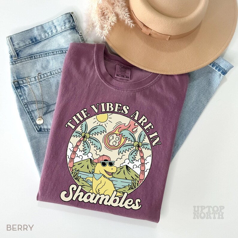 May include: Berry-colored t-shirt with a graphic of a dinosaur wearing sunglasses and a hat, with the text "The Vibes Are In Shambles." The shirt is laid on top of light blue jeans, with a tan hat and a necklace.