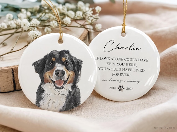 Custom Pet Portrait Pet Memorial Gift, Dog Ornament, Memorial Ornament, Dog Remembrance Keepsake, Pet Loss
