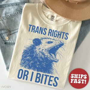 Camiseta Comfort Colors® Derechos Trans, Camiseta Protege a las Personas Trans, Camiseta Zarigüeya, Camiseta Igualdad de Derechos, Camiseta LGBTQ Ivory