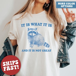 Comfort Colors® It Is What It Is And It Is Not Great Shirt, Raccoon Shirt, Mental Health Shirt, Funny Raccoon Shirt
