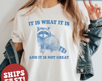 Comfort Colors® It Is What It Is And It Is Not Great Shirt, Raccoon Shirt, Mental Health Shirt, Funny Raccoon Shirt