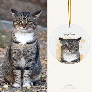 Custom Cat Ornament, Personalized Cat Ornaments, Pet Ornament For Pet Memorial bild 7