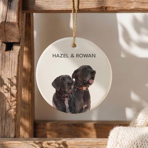 Custom Pet Ornament, Personalized Dog Ornament, Dog Remembrance Gift, Custom Dog Ornament for Personalized Ornament Gift bild 8