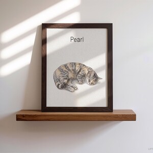 Op de afbeelding: Een ingelijste kunstdruk met een realistische illustratie van een slapende schildpadkat die op een lichte achtergrond tot een bolletje is opgerold. Het woord Pearl staat in zwarte letters boven de kat. Het kunstwerk zit in een donkere houten lijst.