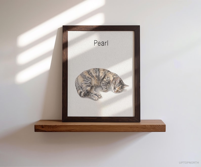 Op de afbeelding: Een ingelijste kunstdruk met een realistische illustratie van een slapende schildpadkat die op een lichte achtergrond tot een bolletje is opgerold. Het woord Pearl staat in zwarte letters boven de kat. Het kunstwerk zit in een donkere houten lijst.