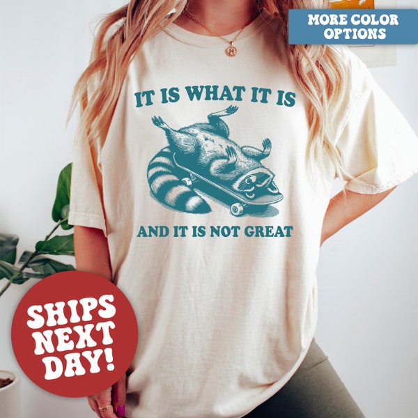 Comfort Colors® It Is What It Is And It Is Not Great Shirt, Raccoon Shirt, Mental Health Shirt, Funny Raccoon Shirt