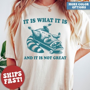 Comfort Colors® It Is What It Is And It Is Not Great Shirt, Raccoon Shirt, Mental Health Shirt, Funny Raccoon Shirt