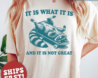 Comfort Colors® It Is What It Is And It Is Not Great Shirt, Raccoon Shirt, Mental Health Shirt, Funny Raccoon Shirt