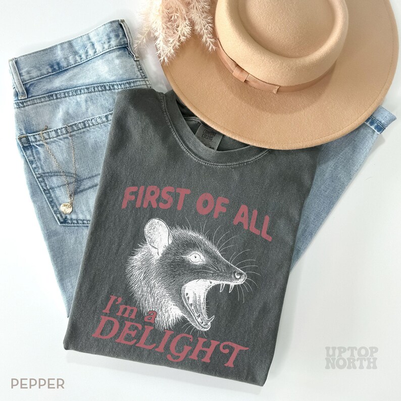 Comfort Colors® Funny Possum Shirt, First of All Im a Delight TShirt, Retro Humor Graphic Tee, Cute Animal Quote T Shirt, Gift for Her image 6