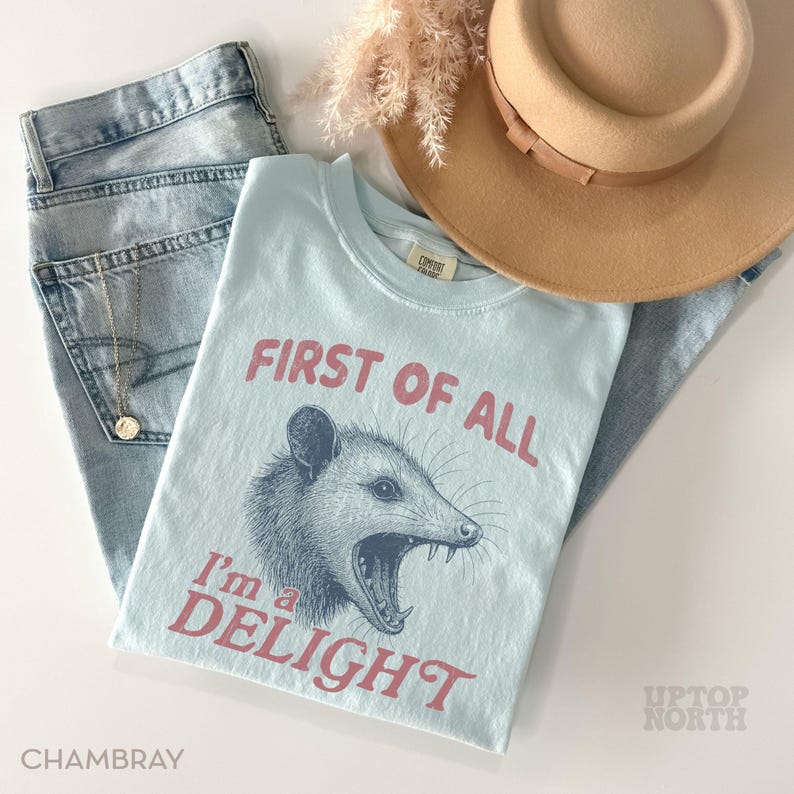 Comfort Colors® Funny Possum Shirt, First of All Im a Delight TShirt, Retro Humor Graphic Tee, Cute Animal Quote T Shirt, Gift for Her image 3