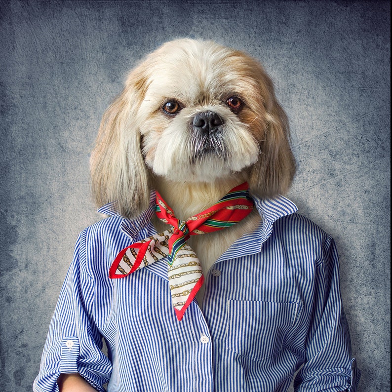 The Dog In The Blue Shirt fabric poster