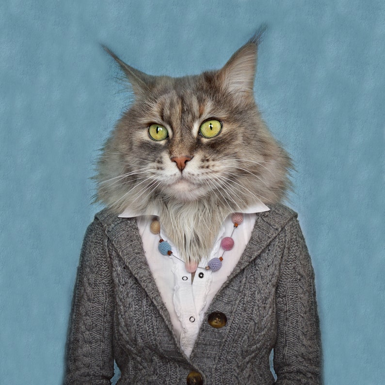 Cat in clothes fabric poster