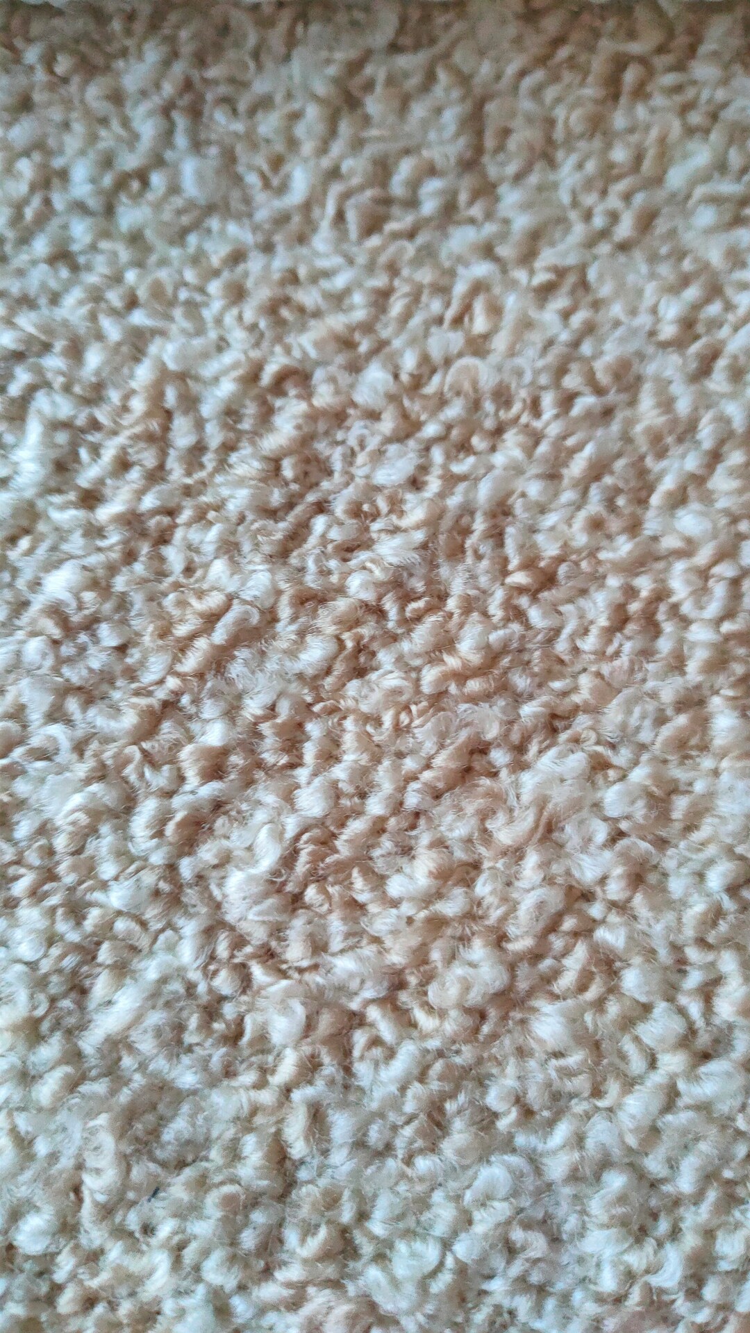 10 Yards Cream Heavy Boucle Knit Fabric by the Yards 11 Colours