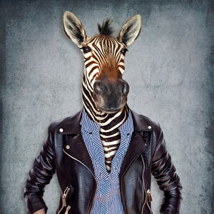 Jacketed zebra fabric poster