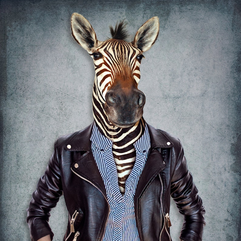 Jacketed zebra fabric poster