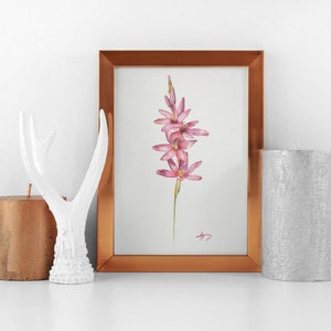Pintura original de flor aquarela rosa
