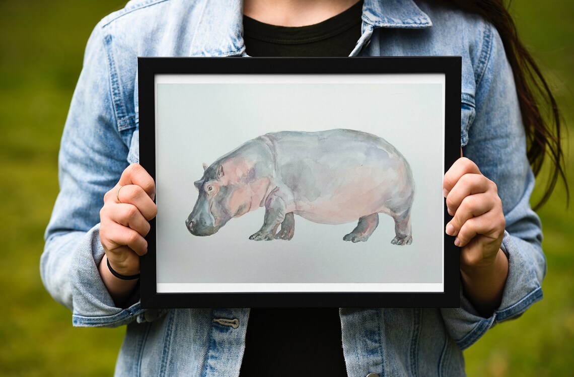 Hippopotamus Hippo Watercolor Original Painting Watercolour Etsy