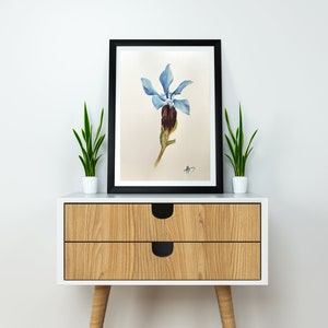 Aquarela Flor Pintura Original Belas Artes