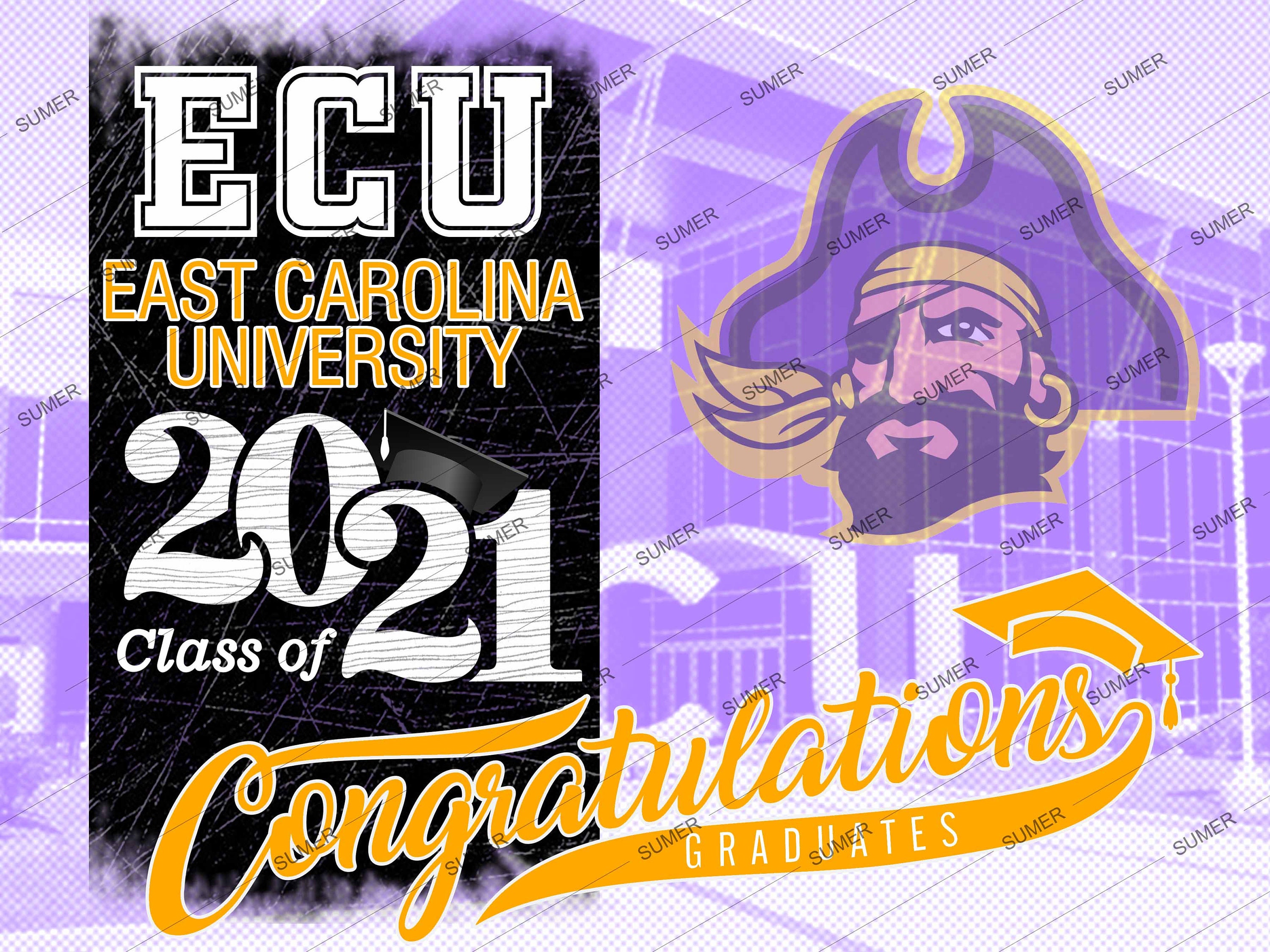 East Carolina University graduate congratulation 2021 sign. Etsy