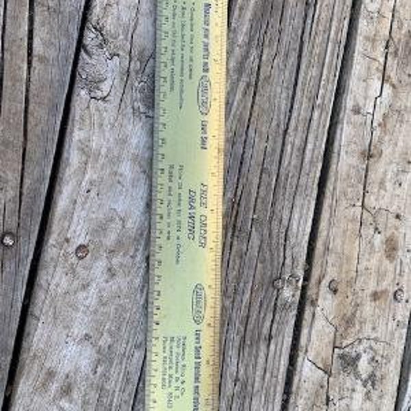 1974 Tru-Test Lawn Seed 12" Ruler