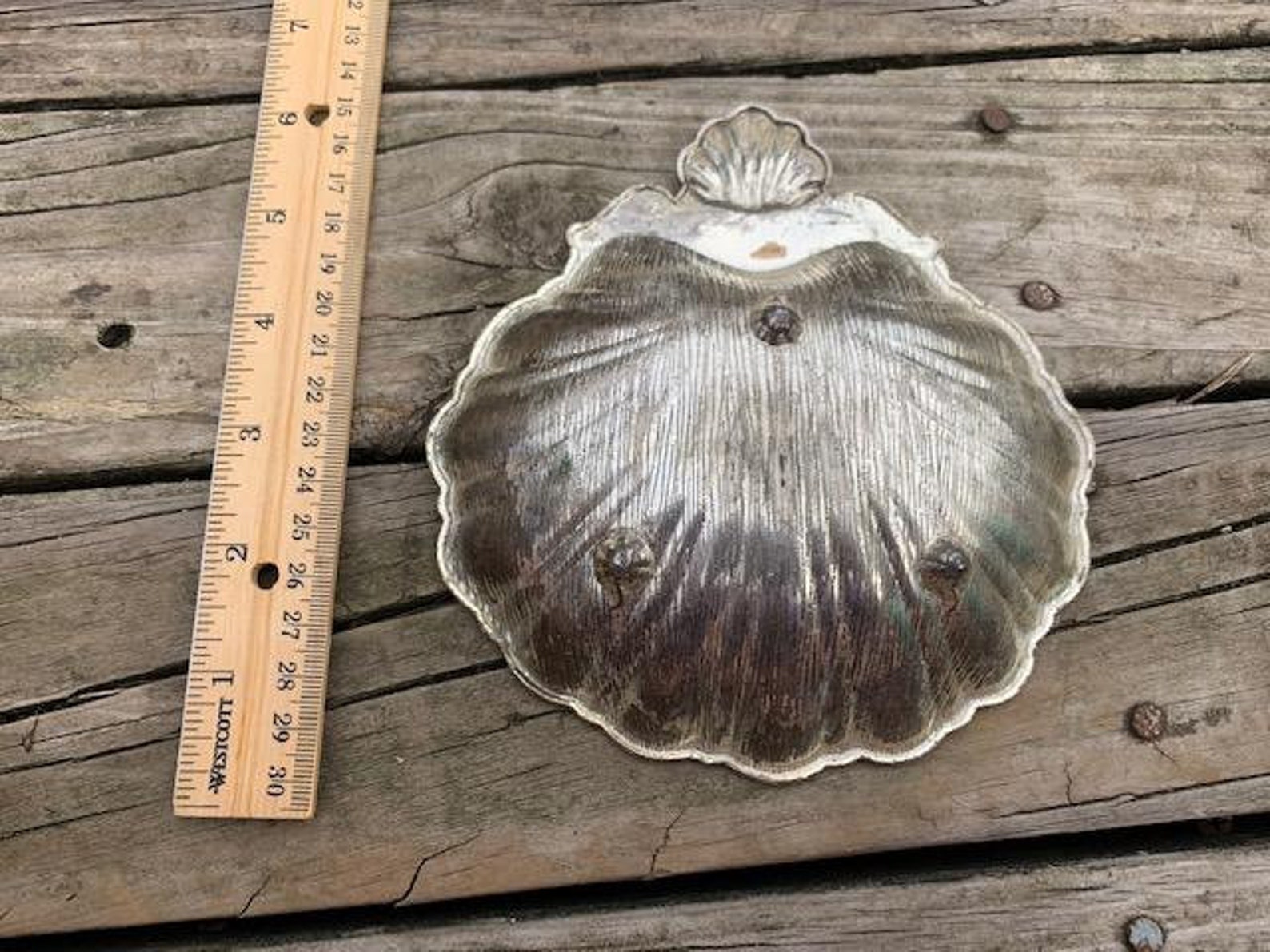 Silver Clam Shape Dish Etsy