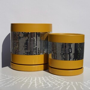 Turmeric Disco || Ceramic Plant Pot with Drainage