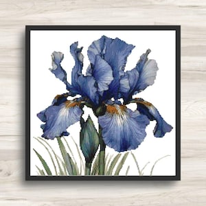 May include: A square framed cross-stitch pattern featuring a detailed blue iris flower with ruffled petals, a central yellow and white beard, and a green bud, all set against a plain white background within a simple black frame.