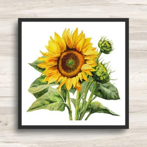 Cross Stitch Pattern: Sunflower Motif 1 - PDF Instant Download