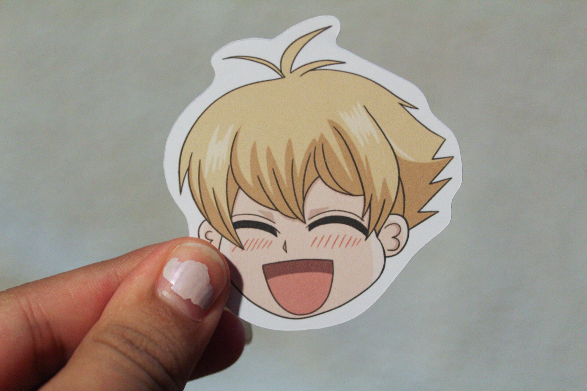 Ouran High School Host Club Full Sticker Pack Etsy