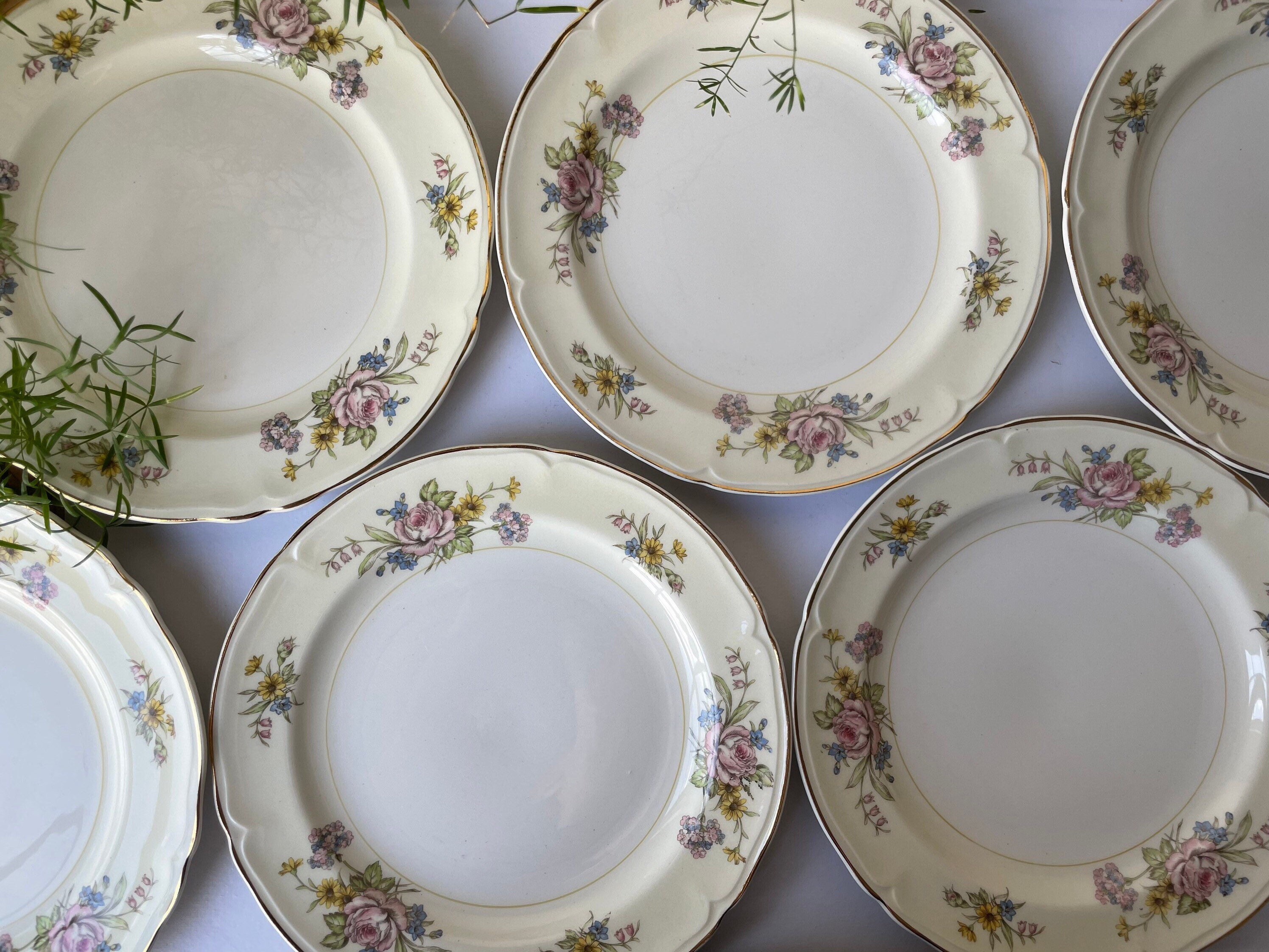 Set of 8 Vintage Semi Vitreous Edwin Knowles China Plates Etsy