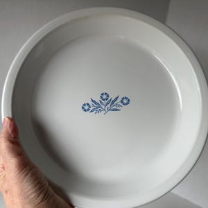 May include: White pie plate with a blue floral design in the center. The plate is round with a slightly raised edge. The floral design consists of three clusters of blue flowers and leaves. The plate is held by a hand.