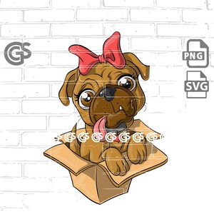 Pug In A Box! - SVG PNG Graphic T-Shirt digital design, Urban, Cartoon Dog Puppy, Sublimation svg, Cricut, Vector