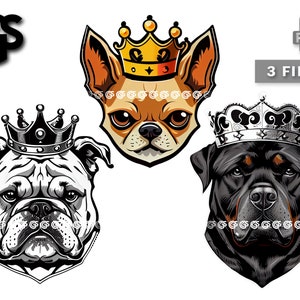 King Dogs (3) PNG Bundle Dog Lover Digital T-Shirt PNG, Rottweiler Bulldog Chihuahua Sublimation Vector, Dogs Mom Dad, Pet Clip Art