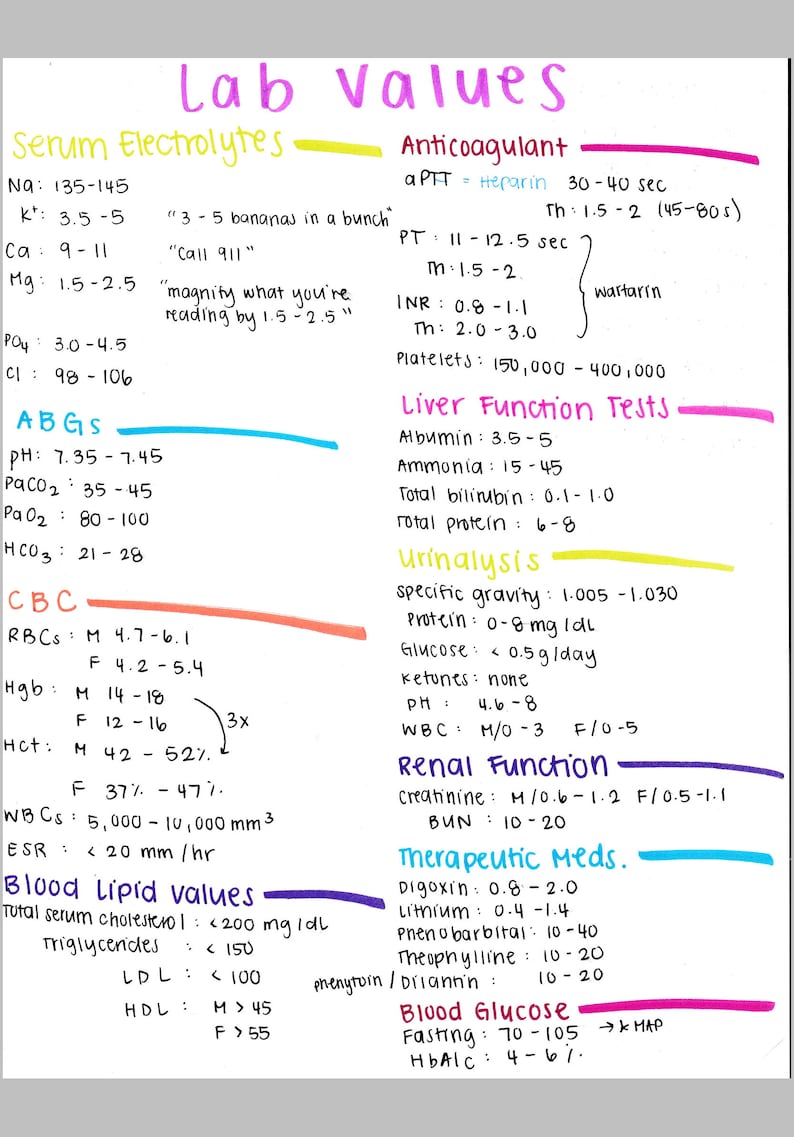 Nclex study sheets etsy