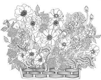 High Resolution Coloring Page Etsy