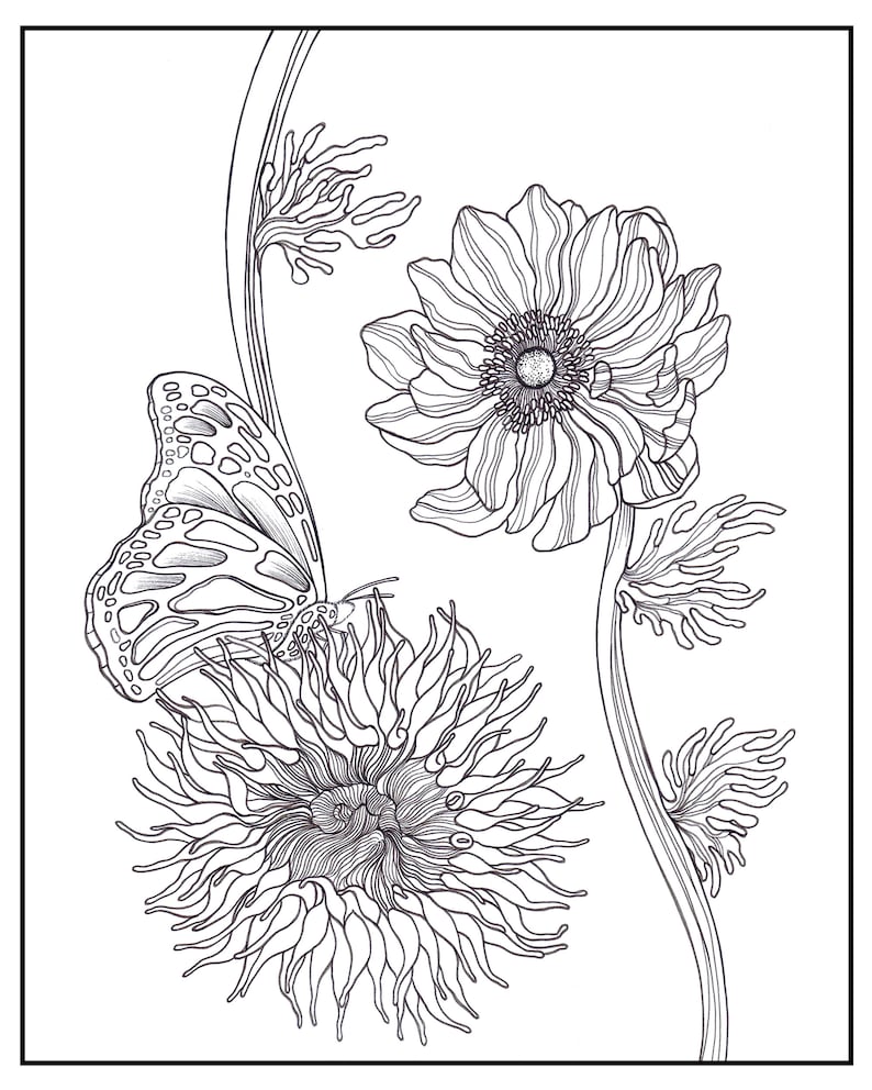 Pretty Hand-drawn, High Resolution Coloring Pages by Binna Kim Art ...
