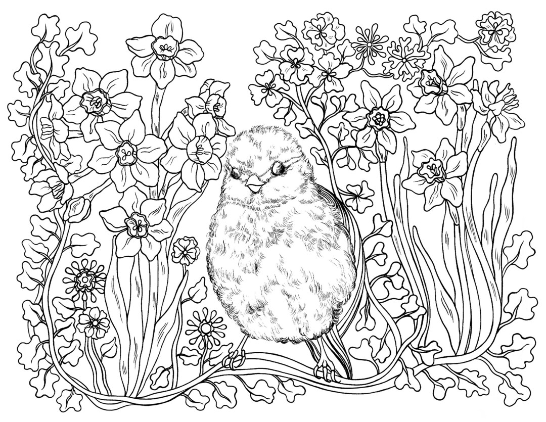 Pretty Hand-drawn Coloring Page by Binna Kim, High-resolution Coloring ...