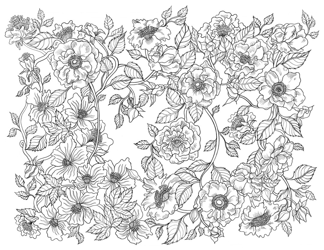 Pretty Hand-drawn High Resolution Coloring Page by Binna Kim - Etsy