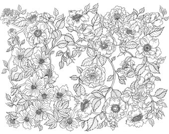 Pretty Hand-drawn, High Resolution Coloring Page by Binna Kim | Floral Garden Drawing for Coloring, Pretty Illustration | Coloring Journey