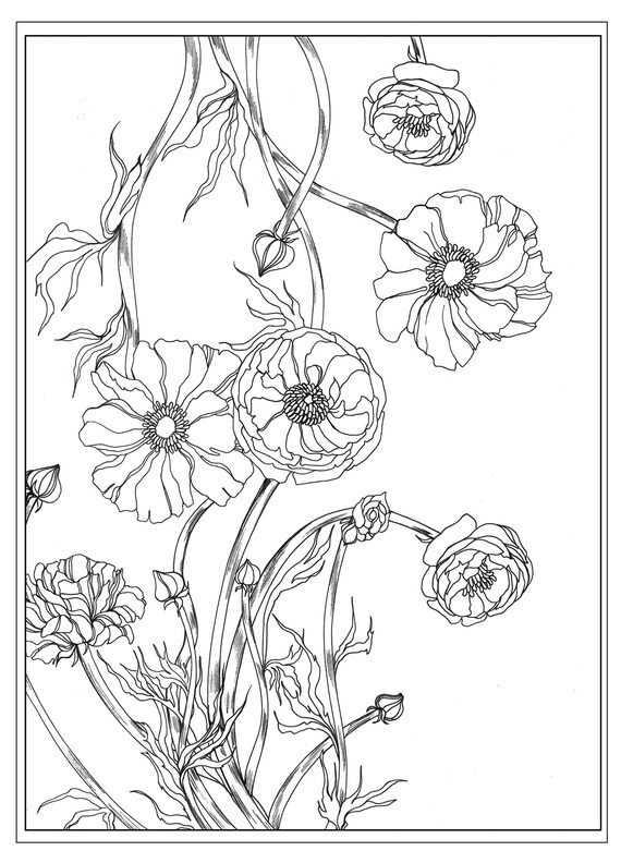 Download Pretty Hand Drawn High Resolution Coloring Pages By Binna Kim Etsy