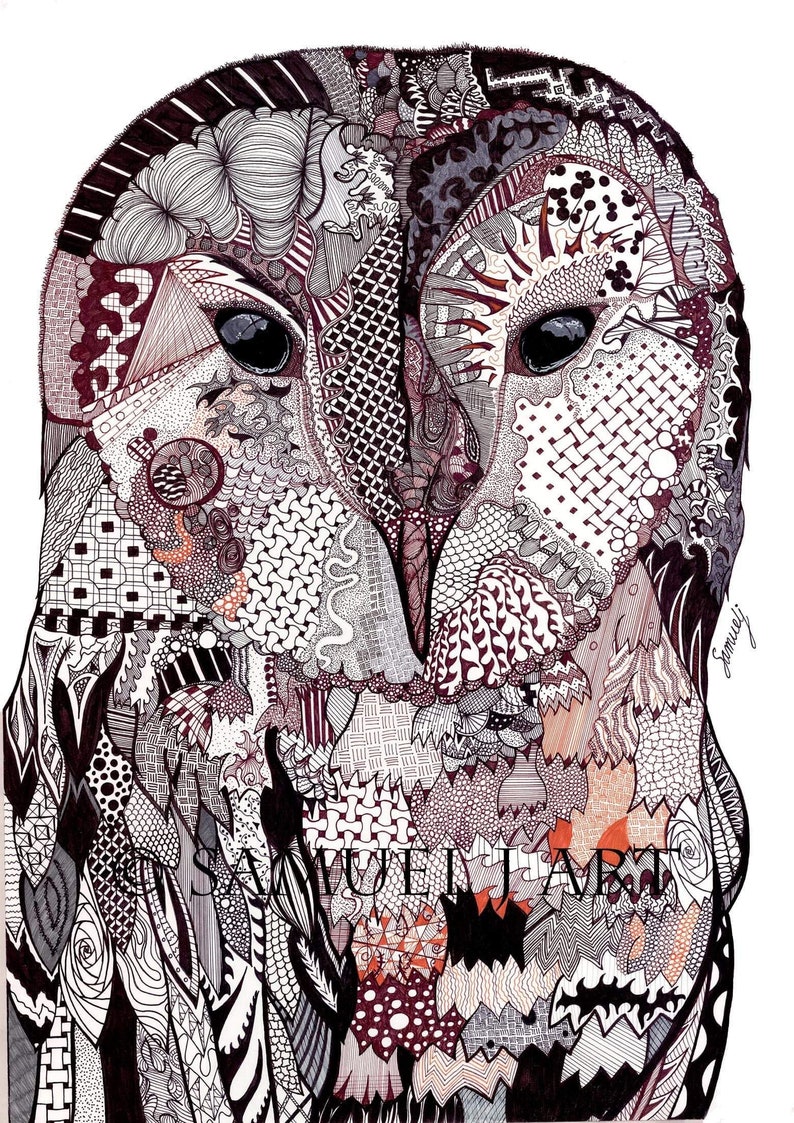 Original Colour Wise Owl Art Print