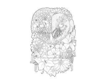 Floral Owl - Colouring In (Digital File)