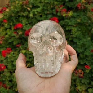 Clear Crystal Quartz Skull- Hand Carved in Brazil- Sat in Plant Ceramony in a Aztec Alter Space- Activated Skull- Large Crystal Skull